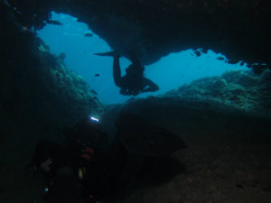 沖縄　万座　恩納村　ダイビング　FUNダイビング