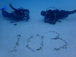 沖縄　万座　FUNダイビング　ダイビング　