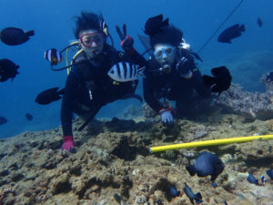 沖縄　本島　体験ダイビング　FUNダイビング　ダイビング　嘉手納沖