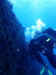 沖縄　万座　恩納村　ダイビング　FUNダイビング
