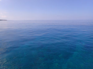 沖縄　万座　恩納村　ダイビング　FUNダイビング