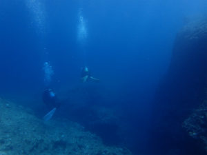 沖縄　恩納村　残波　ダイビング　FUNダイビング