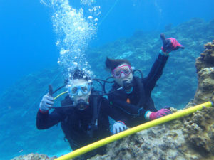 沖縄　慶良間　体験ダイビング　ダイビング