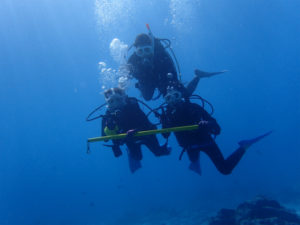 沖縄　慶良間　体験ダイビング　ファンダイビング　ダイビング