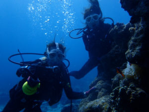 沖縄　慶良間　体験ダイビング　ファンダイビング　ダイビング