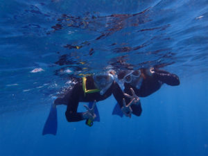 沖縄　慶良間　体験ダイビング　ファンダイビング　ダイビング