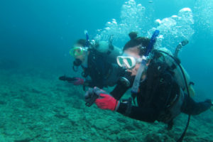 沖縄　ダイビング　コンパス