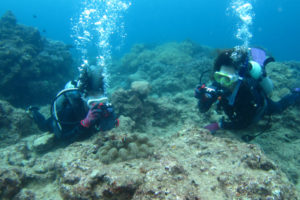 沖縄　ダイビング　カメラ大会