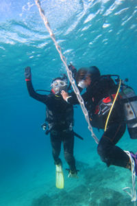 沖縄　本部　OW講習　ダイビング　ライセンス講習