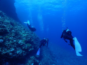 沖縄　ダイビング　FUNダイビング　慶良間