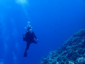 沖縄　ダイビング　FUNダイビング　慶良間