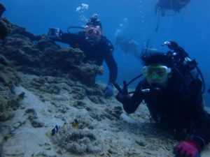 沖縄　崎本部　ゴリラチョップ　体験ダイビング　ダイビング