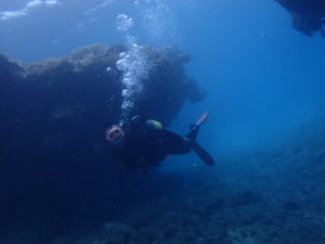 沖縄　崎本部　ゴリラチョップ　体験ダイビング　ダイビング