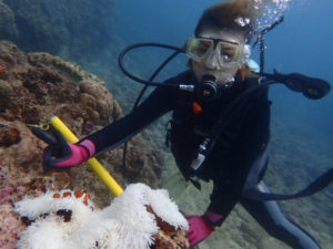 沖縄　砂辺　体験ダイビング　ダイビング