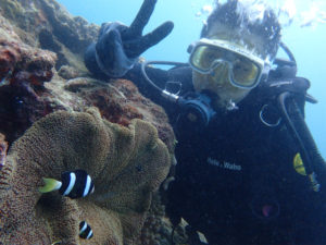 沖縄　砂辺　体験ダイビング　ダイビング