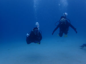 沖縄　本部　OW講習　ダイビング　ライセンス講習