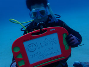 沖縄　本部　OW講習　ダイビング　ライセンス講習