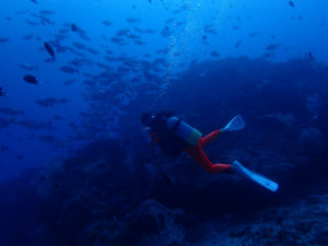 沖縄　ダイビング　慶良間ドリフト