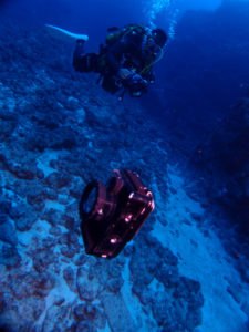 沖縄　ダイビング　ハウジング