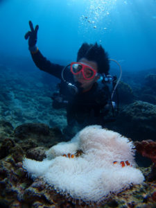 沖縄　体験ダイビング　カクレクマノミと