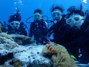 沖縄　ダイビング　慶良間　体験ダイビング