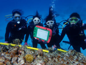 沖縄　ダイビング　慶良間　体験ダイビング