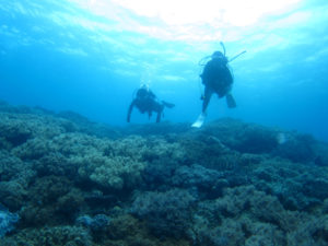 沖縄　近海　イナンビシ　FUNダイビング　体験ダイビング　ダイビング