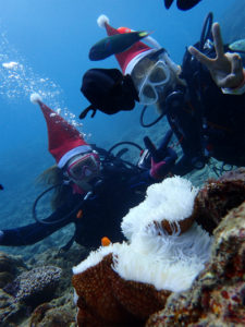 沖縄　ダイビング　砂辺　体験ダイビング