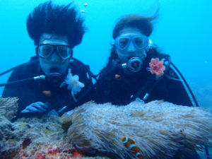 沖縄　近海　イナンビシ　体験ダイビング　ダイビング