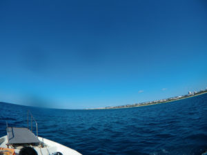 沖縄　本島近海　ダイビング　ファンダイビング　嘉手納沖　