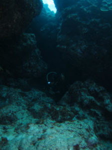 沖縄　慶良間　チービシ　ラビリンス　神山島　ダイビング　ファンダイビング　FUNダイビング