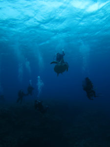 沖縄　慶良間　チービシ　ラビリンス　神山島　ダイビング　ファンダイビング　FUNダイビング