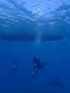 沖縄　本島近海　ダイビング　ファンダイビング　嘉手納沖　