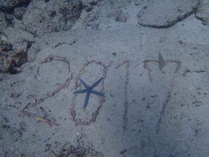 沖縄　本島近海　ダイビング　ファンダイビング　嘉手納沖　