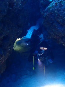 沖縄　慶良間　チービシ　ラビリンス　神山島　ダイビング　ファンダイビング　FUNダイビング