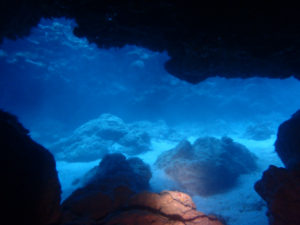 沖縄　慶良間　チービシ　ラビリンス　神山島　ダイビング　ファンダイビング　FUNダイビング