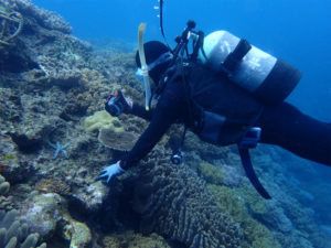 沖縄　ダイビング　AOW