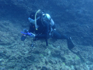 沖縄　ダイビング　AOW
