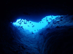 沖縄　万座　恩納村　ダイビング　ファンダイビング