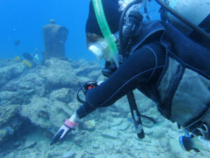 沖縄　ダイビング　砂辺　OWD講習　PADIライセンス