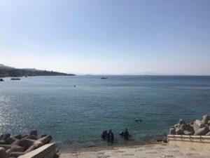 沖縄　本部　ゴリラチョップ　崎本部　ダイビング　体験ダイビング　ビーチダイビング