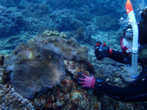 沖縄　宜野湾　ダイビング　講習　ボートダイビング　AOW