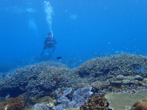 沖縄　宜野湾　ダイビング　講習　ボートダイビング　AOW