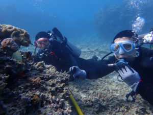 沖縄　本部　ゴリラチョップ　崎本部　ダイビング　体験ダイビング　ビーチダイビング