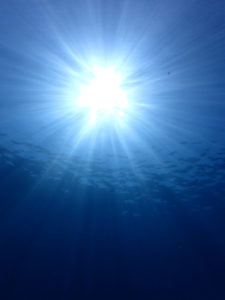 沖縄　本部　ゴリラチョップ　崎本部　ダイビング　体験ダイビング　ビーチダイビング