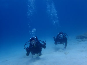 沖縄　本部　ゴリラチョップ　崎本部　ダイビング　体験ダイビング　ビーチダイビング