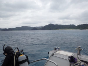 沖縄　慶良間　ダイビング　体験ダイビング　ファンダイビング　ボートダイビング