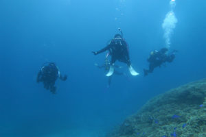 沖縄　慶良間　慶良間諸島　ダイビング　ボートダイビング　ファンダイビング