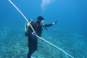 沖縄　ダイビング　慶良間　自社船　体験ダイビング
