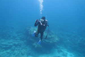 沖縄　ダイビング　慶良間　自社船　体験ダイビング